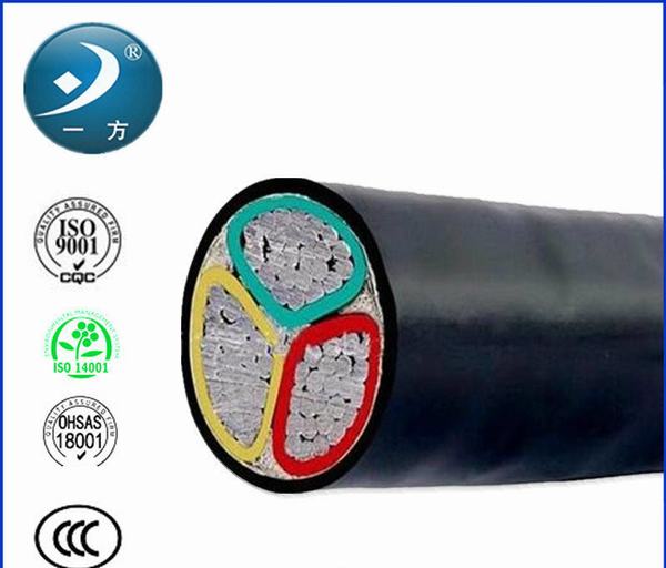 Китай 
                                 LV электрический кабель питания с ПВХ изоляцией XLPE                              производитель и поставщик