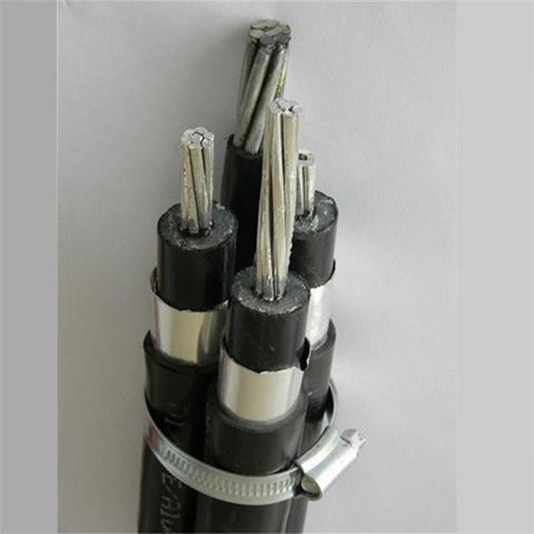 China 
                        Longitudinally Aluminum Tape Shielded XLPE Insulated HDPE Jacket Power Cables
                      manufacture and supplier