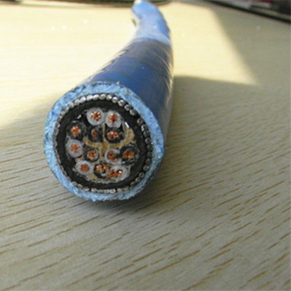 China 
                        Low Voltage Copper Conductor Steel Wire Armour Instrument Wire
                      manufacture and supplier