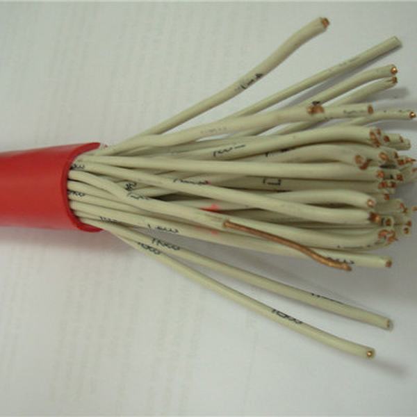 China 
                        Low Voltage Solid Copper PVC Insulation PVC Sheath Control Cable
                      manufacture and supplier