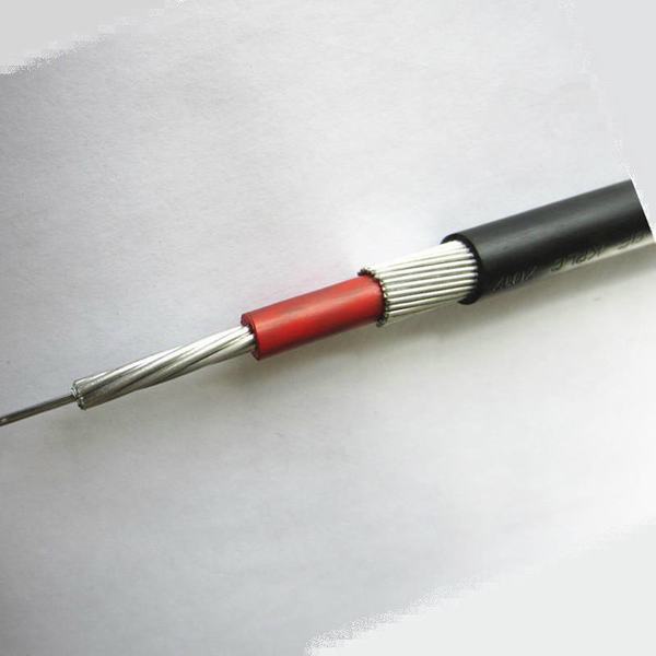 China 
                        Low Voltage XLPE Insulation Aluminum Concentric Cable
                      manufacture and supplier