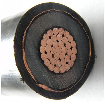 Medium Voltage Power Cable Single Core 630mm2 XLPE Insulated Steel Wire Armour Power Cable
