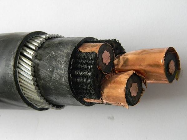 China 
                        Middle Voltage XLPE Insulated Power Cable
                      manufacture and supplier