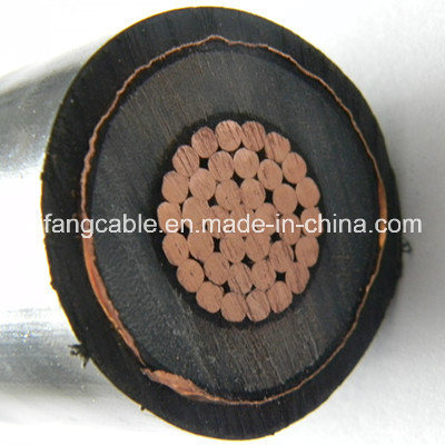 China 
                N2XS2Cable y núcleo de cobre, aislamiento XLPE, funda de PE 6/10 Kv 12/20 Kv 18/30 KV de cable de alimentación de voltaje medio
              fabricante y proveedor