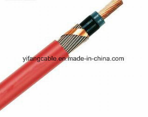 China 
                                 N2xsy kampierendes Energien-Kabel 6/10kv 12/20kv 18/30kv                              Herstellung und Lieferant