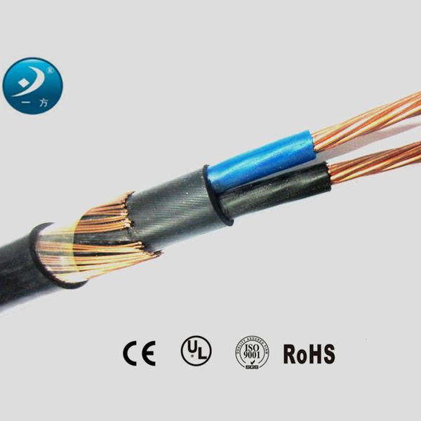 Китай 
                                 PE короткого замыкания Mutlipairs экранированного кабеля щитка приборов с помощью стальной проволоки доспехи                              производитель и поставщик