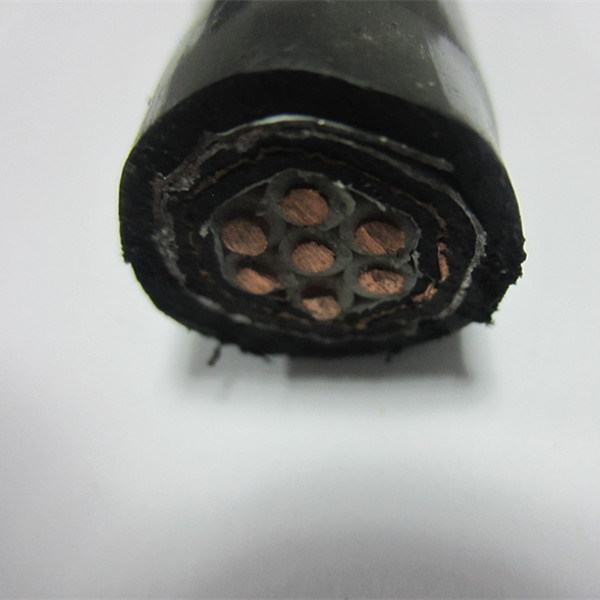 China 
                        PVC Insulated Flame Resistant Copper Tape Screened 450/750V Control Cables
                      manufacture and supplier