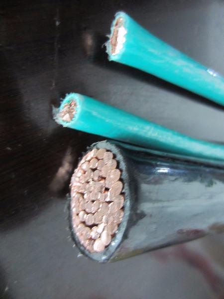 China 
                                 Thw cable aislado con PVC, THHN, TF, Tfn cable                              fabricante y proveedor