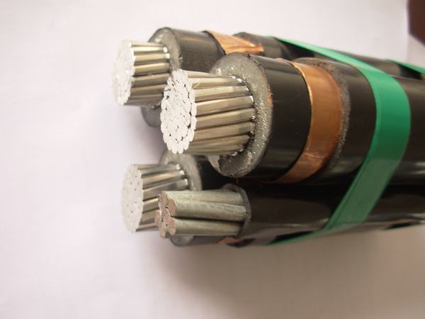 China 
                        Sac Cable
                      manufacture and supplier
