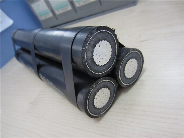 Китай 
                                 Экран кабеля антенны алюминиевых проводников XLPE изоляцией алюминиевых 11КВ Антенна пучками кабеля                              производитель и поставщик