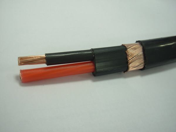 China 
                        Service Entrance Cable 3X8AWG
                      manufacture and supplier