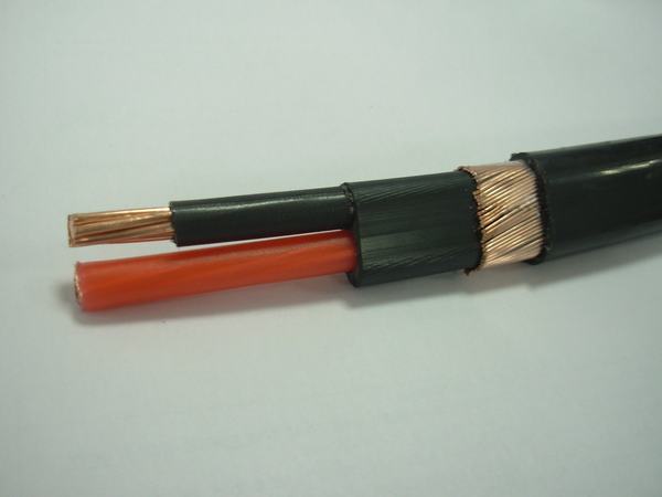 China 
                        Service Entrance Cable. Se Cable
                      manufacture and supplier