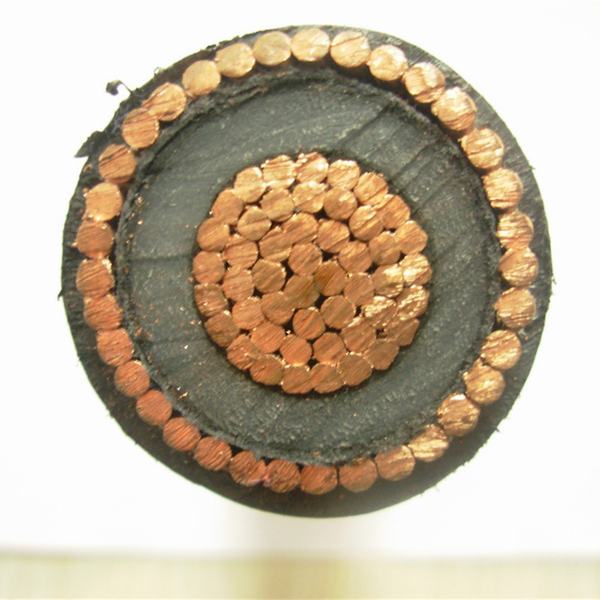 Chine 
                                 Conducteur en cuivre simple coeur de l'isolant en polyéthylène réticulé concentriques câble MV                              fabrication et fournisseur