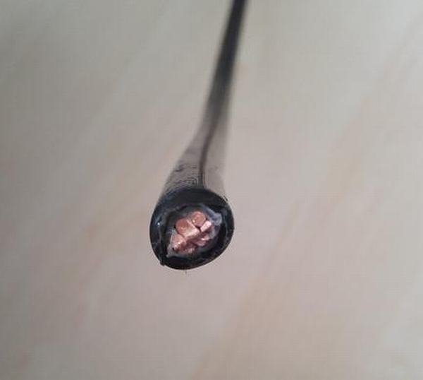 China 
                        Single Core Cu/PVDF/Hmwpe Cathodic Cable 1X10mm2
                      manufacture and supplier