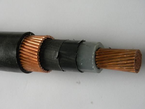China 
                        Single Core Low Voltage Copper Conductor, XLPE Insulated Power Cable
                      manufacture and supplier