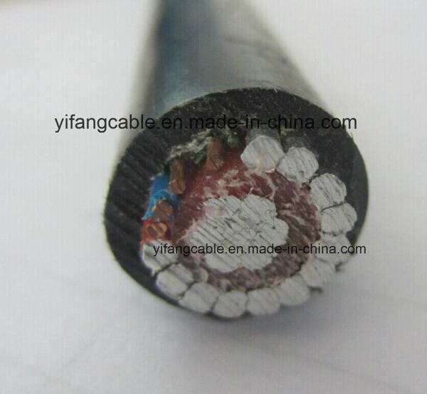 
                                 Concentric spaccato Cable 16mm2 10mm2 Aluminium Conductor XLPE Insulation                            