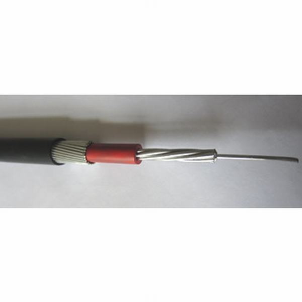 Stranded Aluminum Conductor Concentric Cable