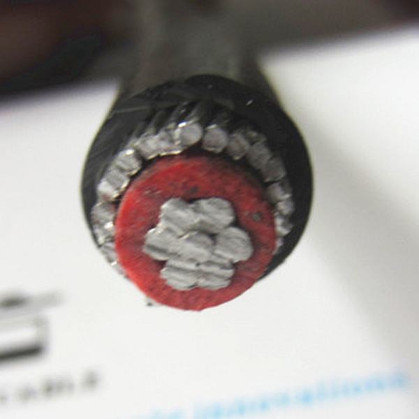 China 
                        Stranded Aluminum Conductor Red Color PVC Insulated Armoured Concentric Neutral Cable
                      manufacture and supplier