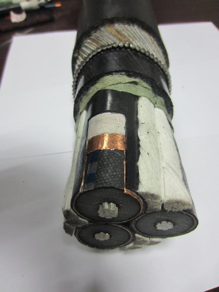 Китай 
                                 Подводного кабеля из алюминия. Tr-XLPE XLPE или короткого замыкания                              производитель и поставщик