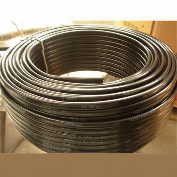 Cina 
                                 Thwn o Thhn 600 volt del fodero del PVC dell'isolamento di collegare di rame elettrico del rivestimento della Camera del cavo 2/0 di prezzi di nylon dell'AWG                              produzione e fornitore