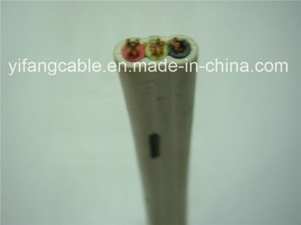 Cina 
                                 Cavo Twin&Earth 2,5mm2, 1,5mm2, 4mm2                              produzione e fornitore