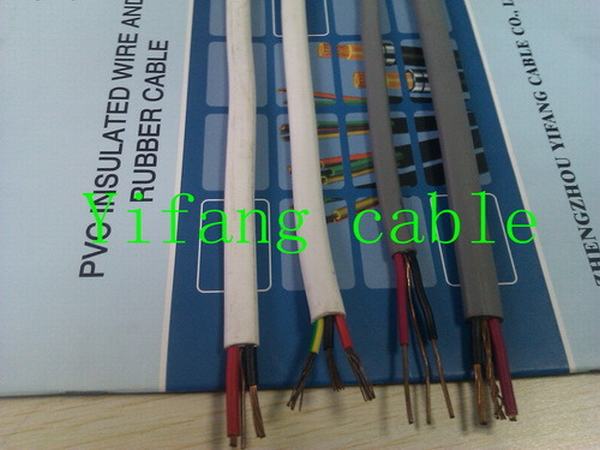 China 
                        Twin and Earth Flat Wire
                      manufacture and supplier