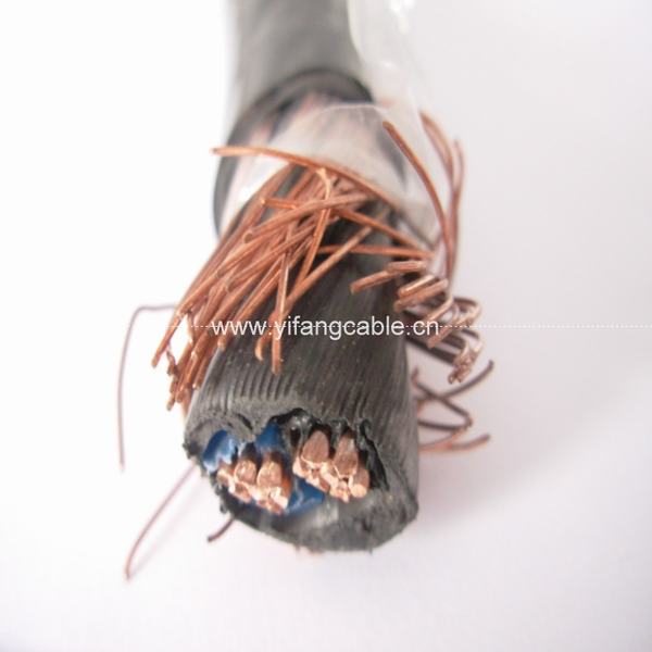 China 
                        Two Conductor Type Round Concentric Cable for Service-Entrance
                      manufacture and supplier