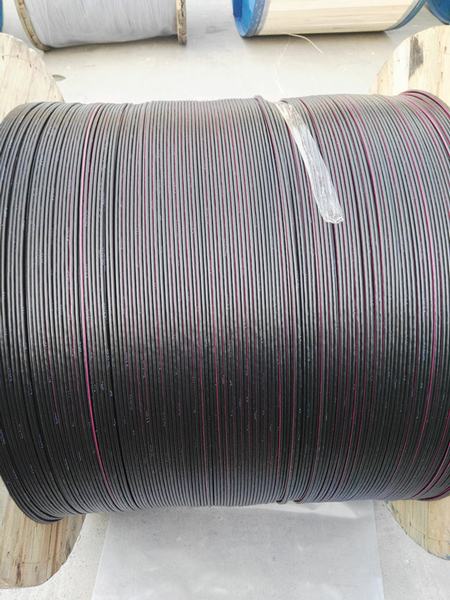 China 
                        Two Core, Hard Drawn Copper, PVC Insulated Aerial Service 2X7/1.04mm
                      manufacture and supplier