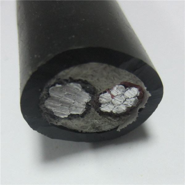 China 
                        U1000 Arvfv 600/1000V Armoured XLPE Aluminum Cables
                      manufacture and supplier