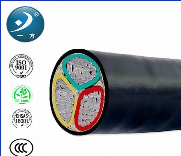 Chine 
                                 Câble blindé souterrain d'alimentation électrique pour 0.6/1kv                              fabrication et fournisseur