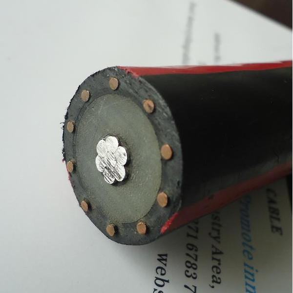 China 
                        XLPE Insulated Al Core Copper Wire One-Six Neutral Concentric Conductor Mv Power Cable
                      manufacture and supplier