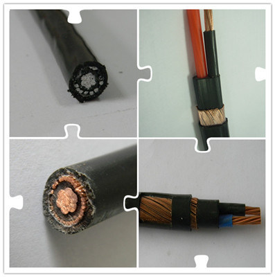 China 
                Yifang 0.6/1kv Aerial Service Concentric Neutral Cable with Pilot Communication Wire Sne Cne Airdac Cable
             on sale