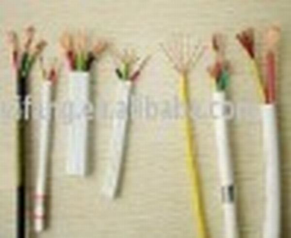 China 
                        flexible copper conductor electrical Wire
                      manufacture and supplier