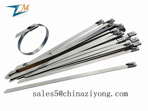 China 
                        304/316 Ball-Lock Stainless Steel Cable Tie, Stainless Cable Tie
                      manufacture and supplier