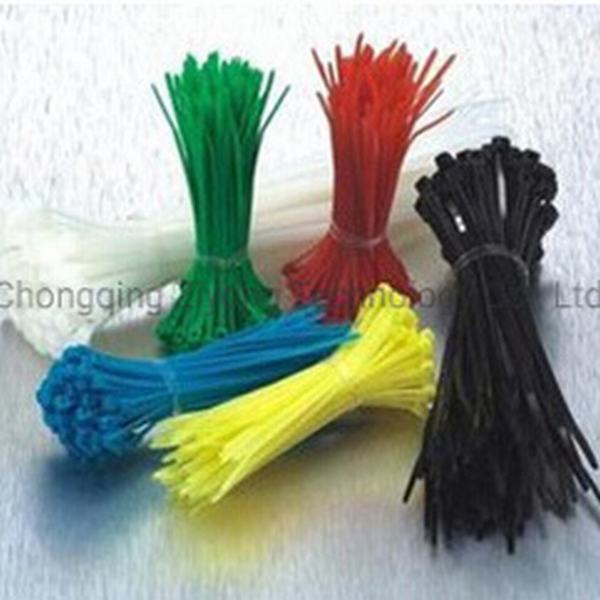 China 
                        Favorites Compare High Tensile Strength Superior Plastic Cable Ties
                      manufacture and supplier