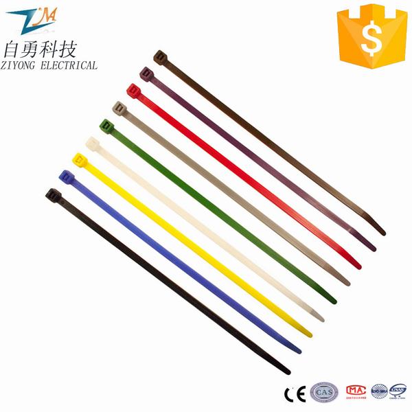 Chine 
                                 Plein de tailles des attaches de câble en nylon autobloquant colorés                              fabrication et fournisseur