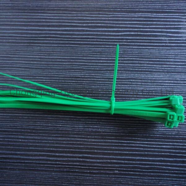 China 
                        Green Cable Tie with Nylon
                      manufacture and supplier