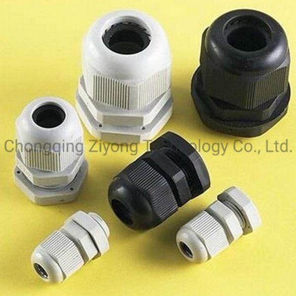 China 
                        IP68 Pg Type Cable Gland (PG7-PG63)
                      manufacture and supplier