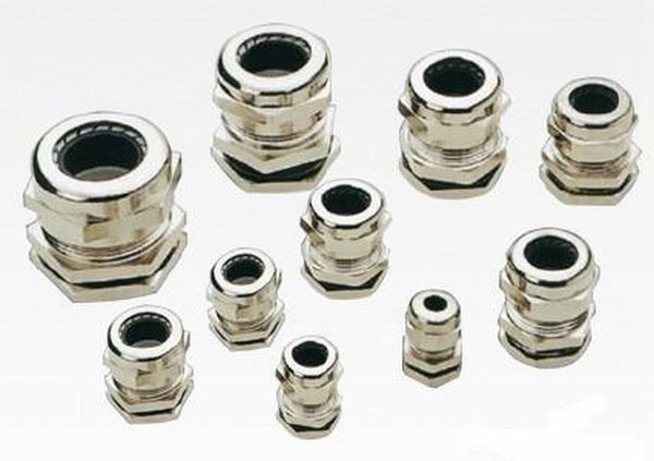 China 
                        Metal Material Cable Gland/ Metal Fixed Cable Gland Pg Type
                      manufacture and supplier