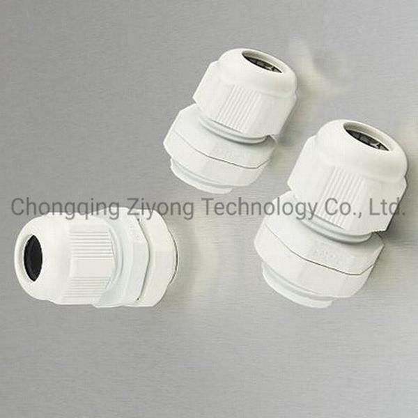 Mg-63 with Nylon Cable Glands with White Color