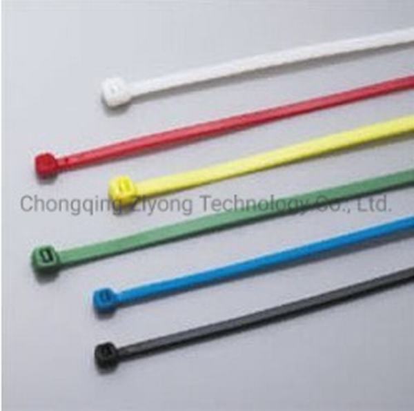 Китай 
                                 Нейлоновые кабельной стяжки с нейлоновым 66 CT2.5*100                              производитель и поставщик