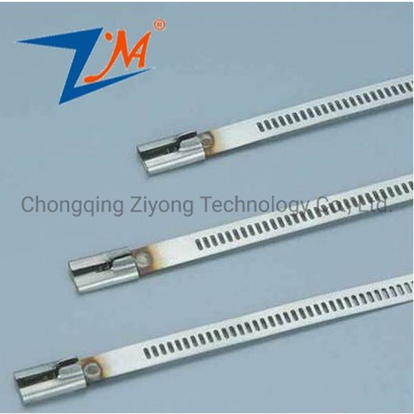 China 
                        Stainless Steel Cable Tie for 304 Material
                      manufacture and supplier