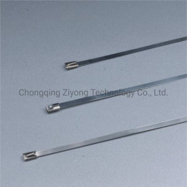 China 
                        Strainess Steel Cable Tie with Best Price
                      manufacture and supplier