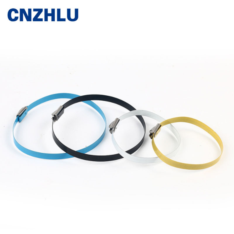 China 
                Color Steel Cable Ties Cable Ties
              manufacture and supplier