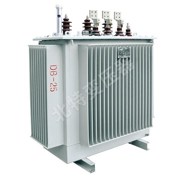 Copper Power Distribution Oil Immersed Transformer