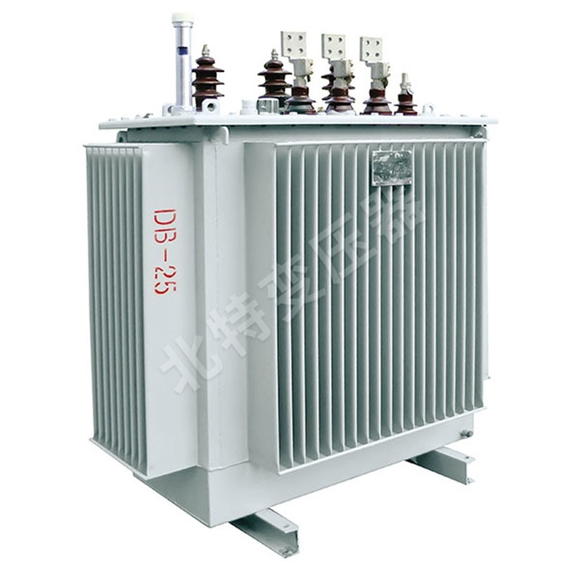 Distribution Transformer, Conservator Type, 100kVA 33kv 0.4kv with Competitive Price