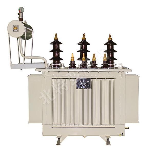 S10 Oil Immersed Power Distribution Transformer