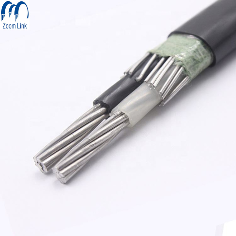 China 
                0.6/1kv Aluminum Conductor XLPE Insulated 2X8 AWG Concentric Cable
              manufacture and supplier