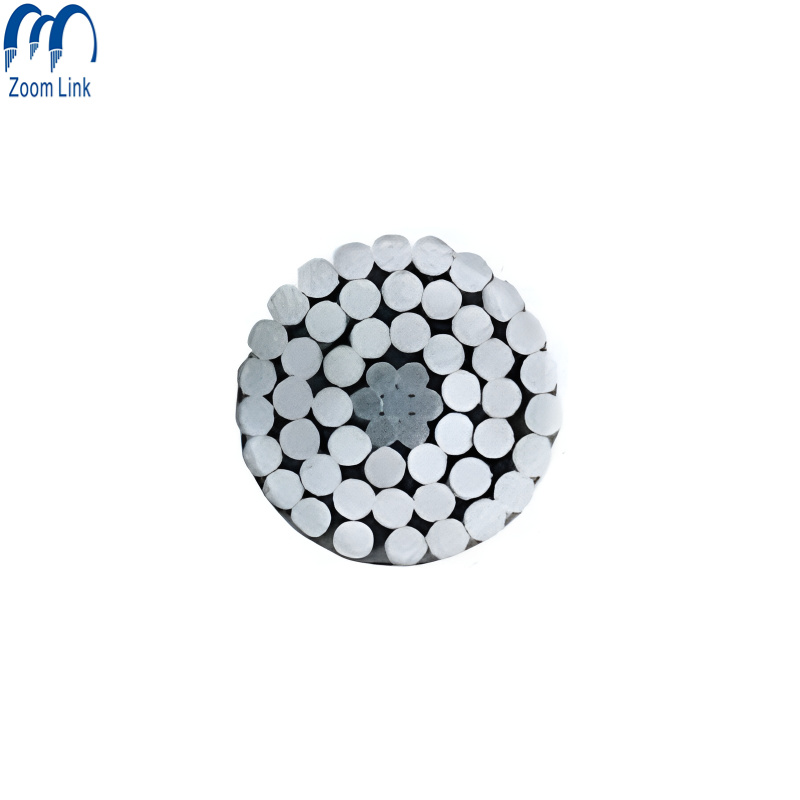 China 
                ACSR Cable /ACSR Wire with ASTM IEC DIN BS Standard
              manufacture and supplier
