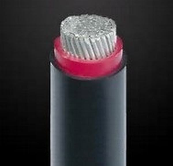 China 
                        0.6/1kv PVC Insulated PVC or PE Sheathed Single Core Aluminum Power Cable
                      manufacture and supplier